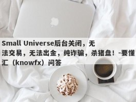 Small Universe后台关闭，无法交易，无法出金，纯诈骗，杀猪盘！-要懂汇（knowfx）问答